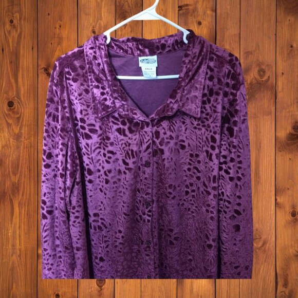 Collections Etc Women's XXL Long Sleeve Velvet Burnout Button Front Blouse VTG - Picture 3 of 5